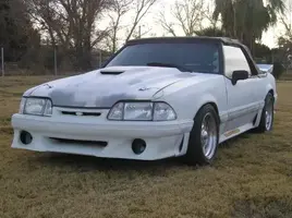 mystang-1.webp