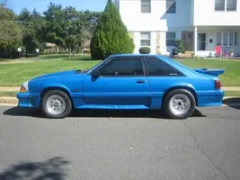 mustang1.webp