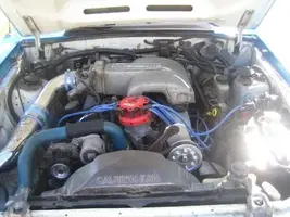 mustang2.webp