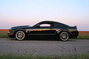 sideprofile006.webp
