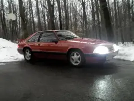 stang.webp
