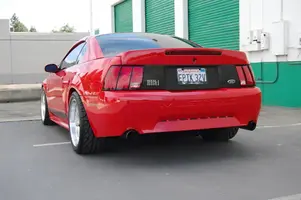 rearvinyl.webp