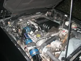 89MustangLX035.webp