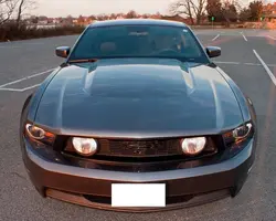 34833_1575737558049_1373880359_31493382_5178745_n.webp