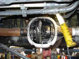 Gear mustang 023.webp