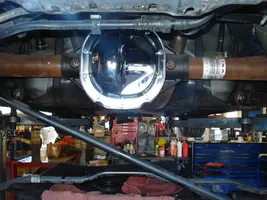 Gear mustang 024.webp
