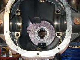 Gear mustang 015.webp