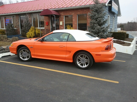 thestang_2.webp