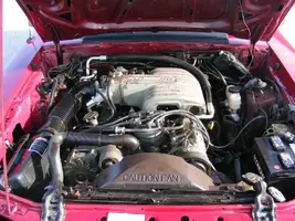 DSCF7113.webp
