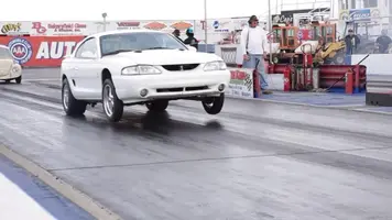 mustang3.webp