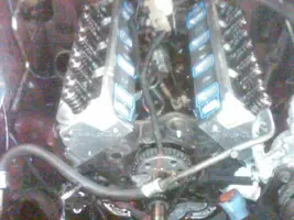 head pic 2.webp