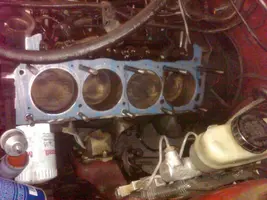 head pic 3.webp