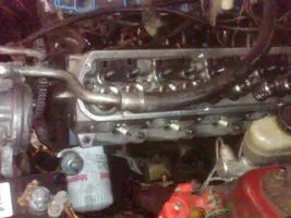 head pic.webp