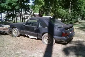 284215_2294724326318_1195351919_2807170_616484_n.webp