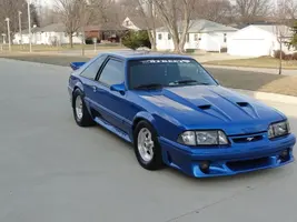 stang 1.webp