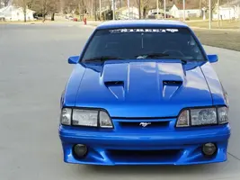 stang 2.webp