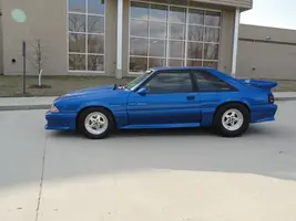stang 3.webp