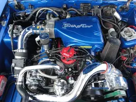 stang 11.webp