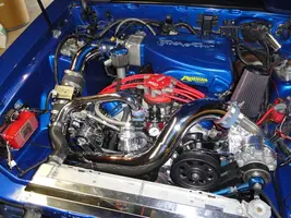stang 10.webp