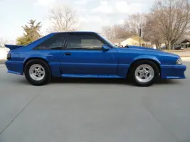 stang 7.webp