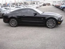mustang.webp