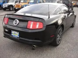 mustang1.webp
