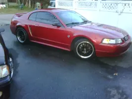IMG00139-20120223-1739.webp
