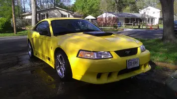 saleen 8.webp