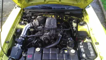 saleen 6.webp