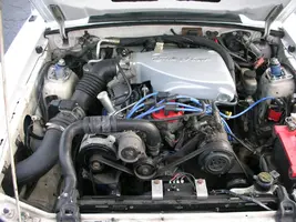DSCN0224.webp