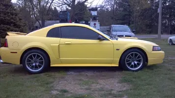 stang13.webp