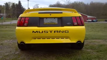 stang12.webp