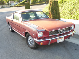 P1310627.webp
