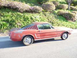 P1310643.webp