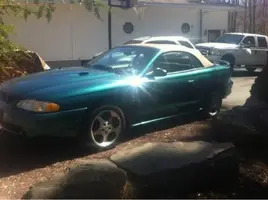 cobra4.webp