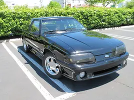 IMG_2838[1].webp