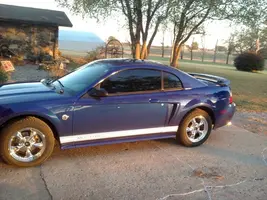 my mustang.webp