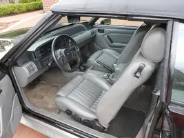 Driver Interior Front.webp