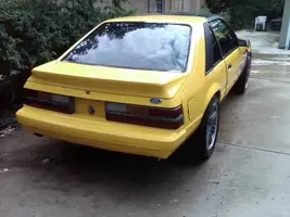 mustangback.webp