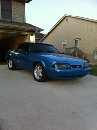 mustang.webp
