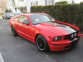 mustang.webp