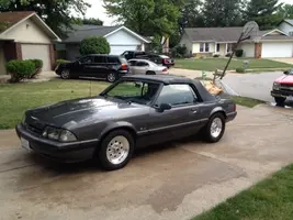 stang4.webp