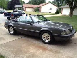 stang2.webp
