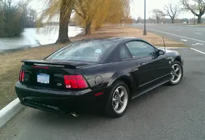 IMAG0116-1.webp