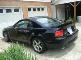 cobra 1.webp
