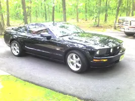 mustang.webp