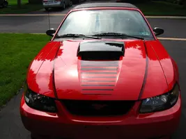 Stang Front 2.webp