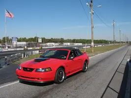 Stang.webp