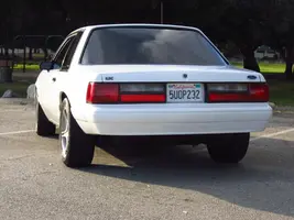 IMG_1333.webp