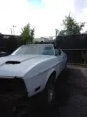 mustang1.webp